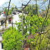 Отель Wu Yuan Smile Family Guest House, фото 6
