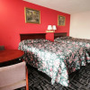 Отель Economy Inn, фото 3