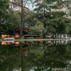 Отель Itzae B&B Lincoln Park Dog Friendly, фото 28
