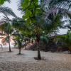 Отель Regenta Place Mandrem Beach Resort, фото 16