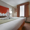 Отель Best Western JFK Airport Hotel, фото 29