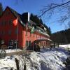 Отель Erlebnishotel & Restaurant Fichtenhäusel am Pöhlagrund, фото 16