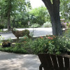 Отель Boise Hillside Suites, фото 26