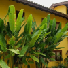 Отель Trancoso Residence Family, фото 27