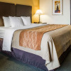 Отель Comfort Inn Jonesville, фото 4