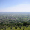 Отель Appartamenti La Pineta Assisi, фото 14