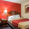 Отель Econo Lodge Fort Jackson, фото 30