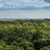 Отель Tarasy Bałtyku by HappyStay, фото 14