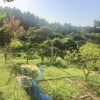 Отель Jeju Red Roof Pension, фото 19