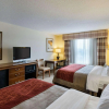 Отель Comfort Inn & Suites, фото 4