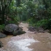 Отель Sitio Alto da Montanha - você em paz com a natureza, фото 14