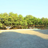 Отель Wilderness Camp 200mtr from Devaliya Park, фото 17