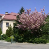 Отель Kamieniec, фото 1