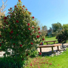 Отель Newlands B&B, фото 9