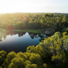 Отель Forest Rise, фото 22