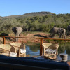 Отель Barefoot Addo Elephant Lodge, фото 17
