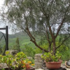 Отель Agriturismo Capuano, фото 16