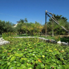 Отель Sun-drenched Estate Close to Sciacca Near the Beach, фото 19