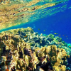 Отель Sharm El Naga Resort and Diving Center, фото 9