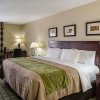 Отель Comfort Inn & Suites Southwest Fwy at Westpark, фото 4