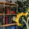 Отель Host Stay Catharine Quarters I II, фото 1