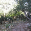 Отель Redwood Gardens, фото 13