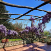 Отель Villa Le Birbe in Massa Lubrense, фото 11