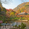 Отель Yoshiike, фото 28