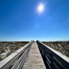 Отель Gulf Shores Surf & Racquet Club 306b, фото 18
