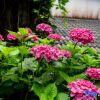 Отель Floral Hotel·Yicheng Yijia Inn(Dongda store of Zhangjiajie National Forest Park), фото 18