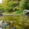 Отель Dipla Sto Potami (Next To The River), фото 23