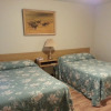 Отель Mountain View Motel, фото 3
