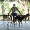 Отель Nature Retreat with Healing Dogs in Brazil, фото 9