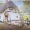 Отель Delightful 3 bed Thatched Cottage Near Winchester, фото 13