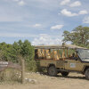 Отель Tipilikwani Mara Camp, фото 10