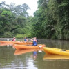 Отель Tortuguero Adventures GuestHouse, фото 14