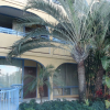 Отель TropiRock A North Beach Village Resort Hotel, фото 17