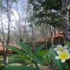 Отель Koh Mook Rubertree Bungalow, фото 19