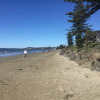 Отель Orewa Beachside, фото 9