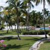 Отель Abaco Beach Resort and Boat Harbour Marina, фото 15