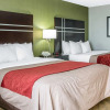 Отель Comfort Inn & Suites Maumee - Toledo (I80-90), фото 28