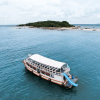 Отель Cruises the Pool Access, фото 18