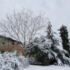 Отель Tenuta il Pino, фото 1
