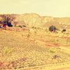 Отель The Tiger Hill Sariska, фото 8
