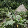 Отель Casa de Selva Uaco, фото 7