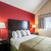 Отель Quality Suites, фото 3