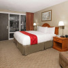 Отель Ramada by Wyndham Odessa Near University of Texas Permian, фото 4