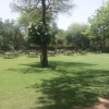 Отель WelcomHeritage Bal Samand Lake Palace, фото 15