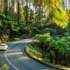 Отель Lithgow Falls, фото 3