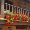 Отель House With 4 Bedrooms in Linares, Peñarrubia, With Wonderful Mountain View, Furnished Balcony and Wi, фото 1